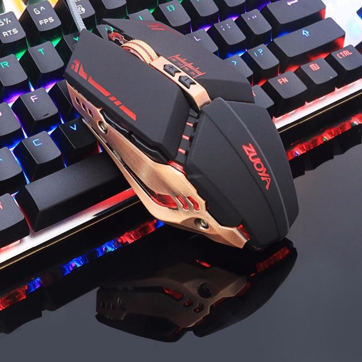 Mouse
